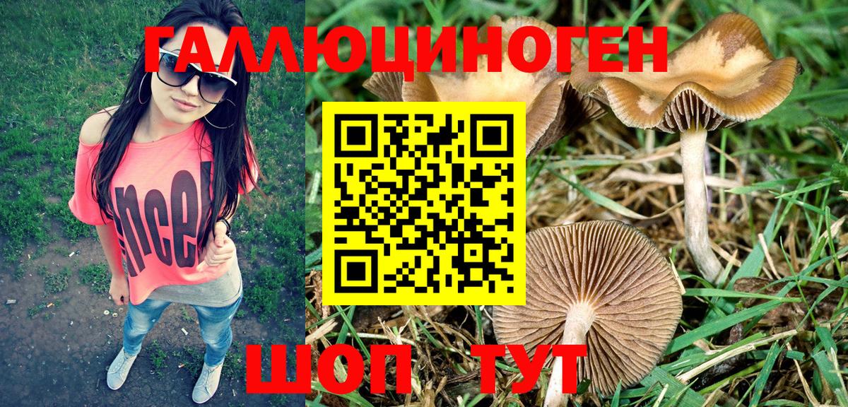 Рославль  Галлюциногенные грибы Magic Shrooms  Псилоцибиновые грибы Psilocybe  Вход с VPN 